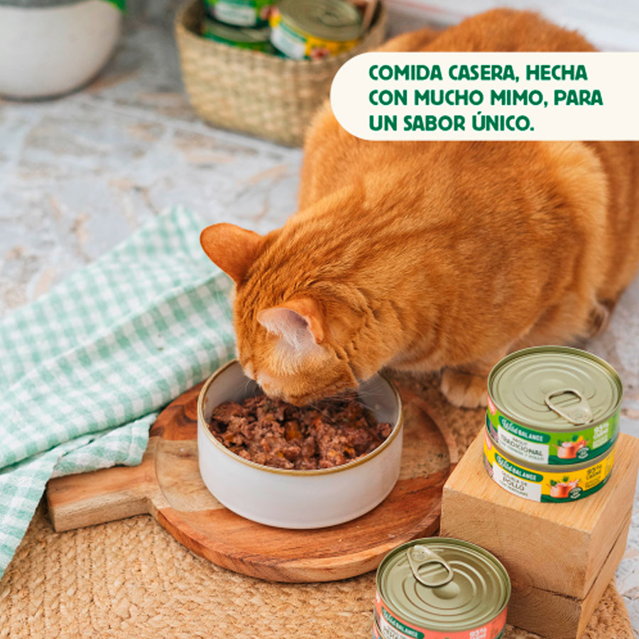 WILD BALANCE LATA GUISO DEL PESCADOR CON SALMÓN Y CERDO (80g) - Imagen 2