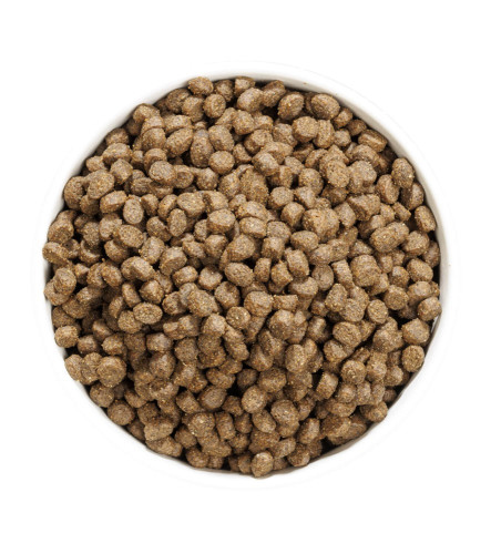 OWNAT GF JUST STERILIZED FISH GATO - Imagen 3