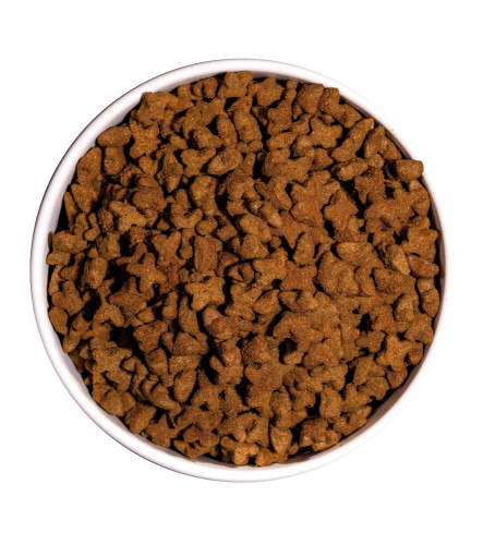 OWNAT GF JUST STERILIZED GATO - Imagen 3