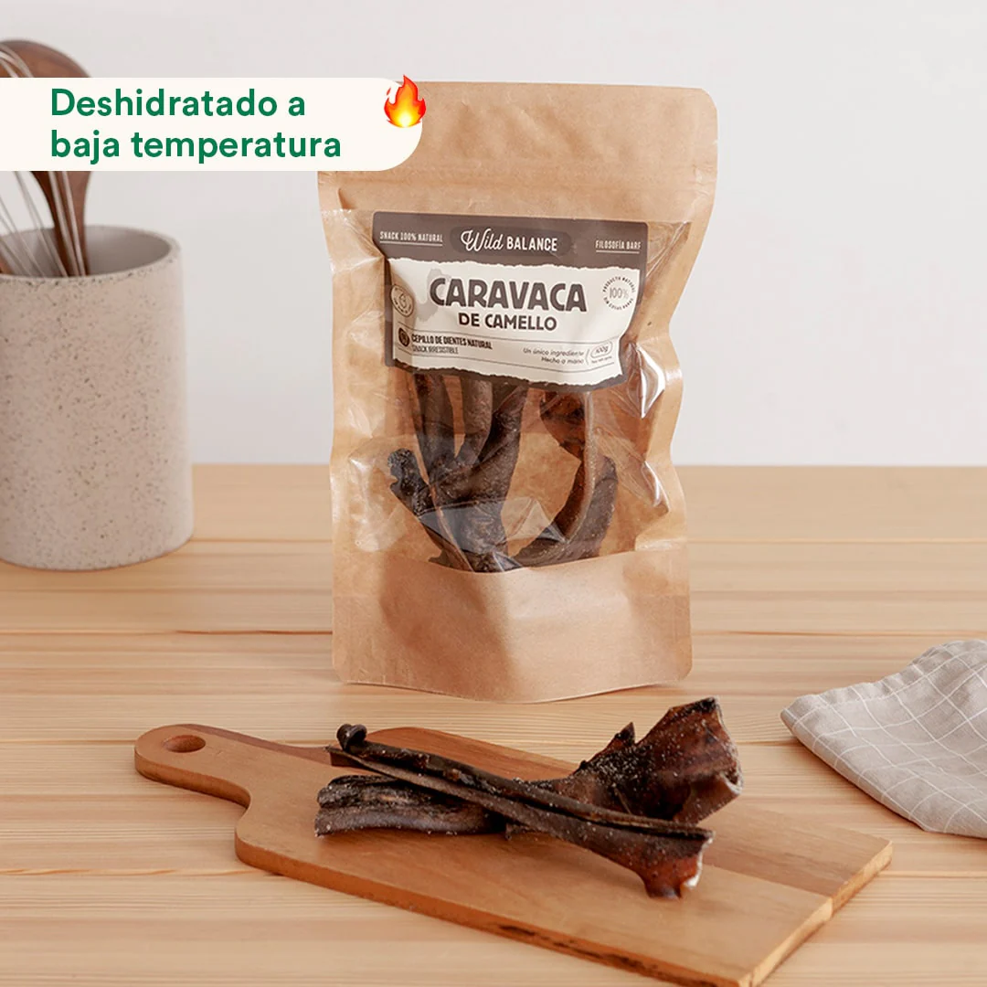 WILD BALANCE CARAVACA DE CAMELLO (100g) - Imagen 2